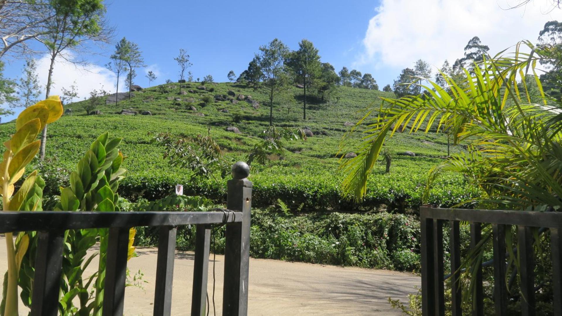 Nilowin Glenanore Guesthouse Haputale Exterior photo